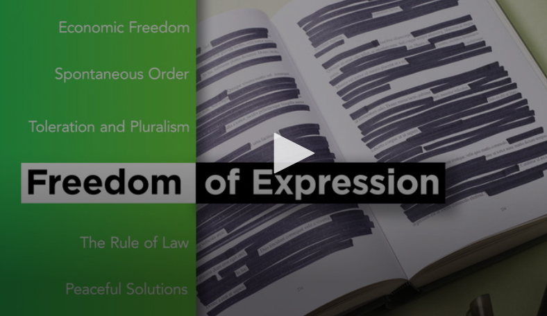A youtube video link for a video called 'Freedom of Expression.'